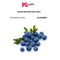 Blueberry FO